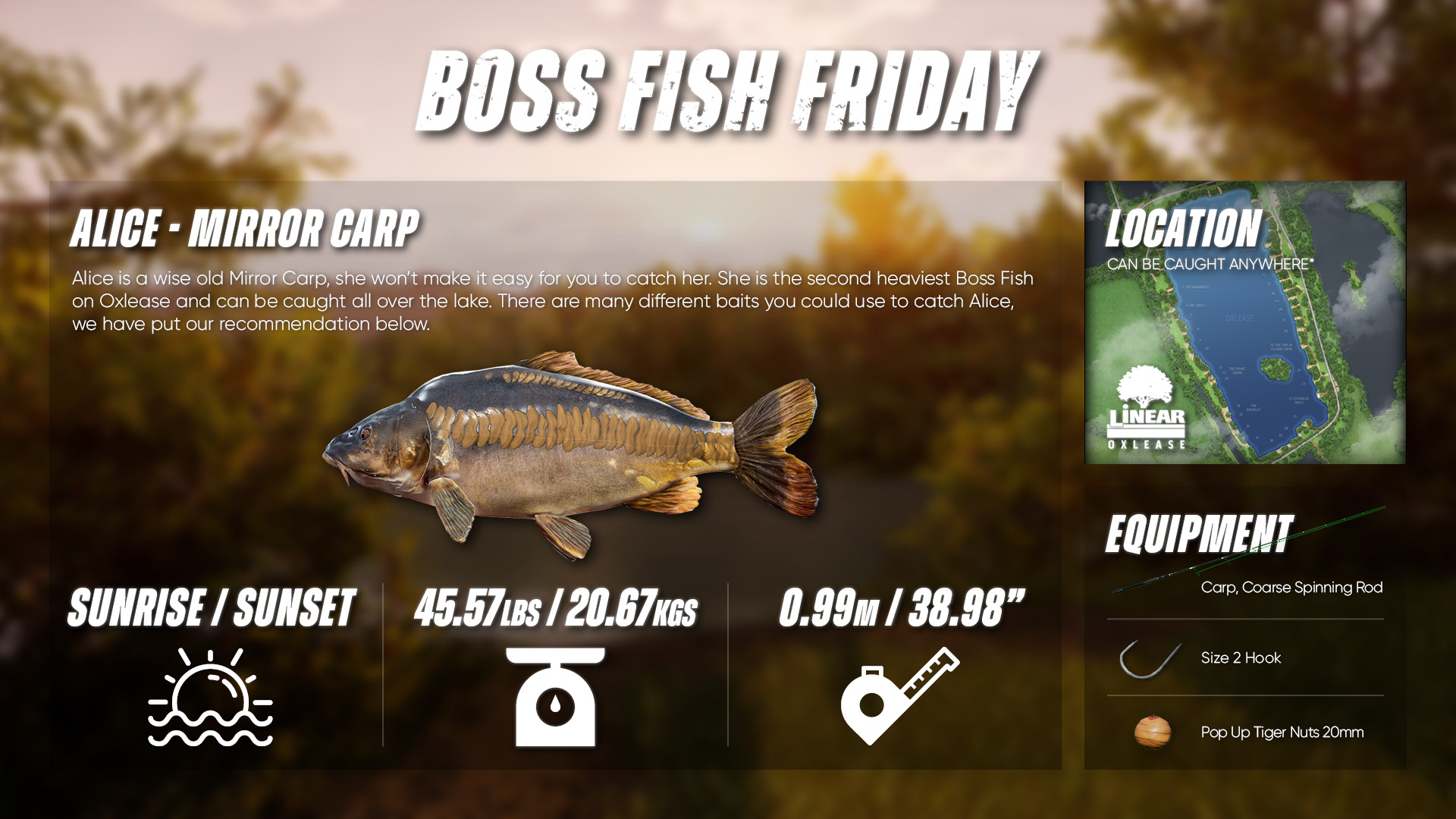 The Catch Carp & Coarse - Dovetail Games NEW Fishing Game!