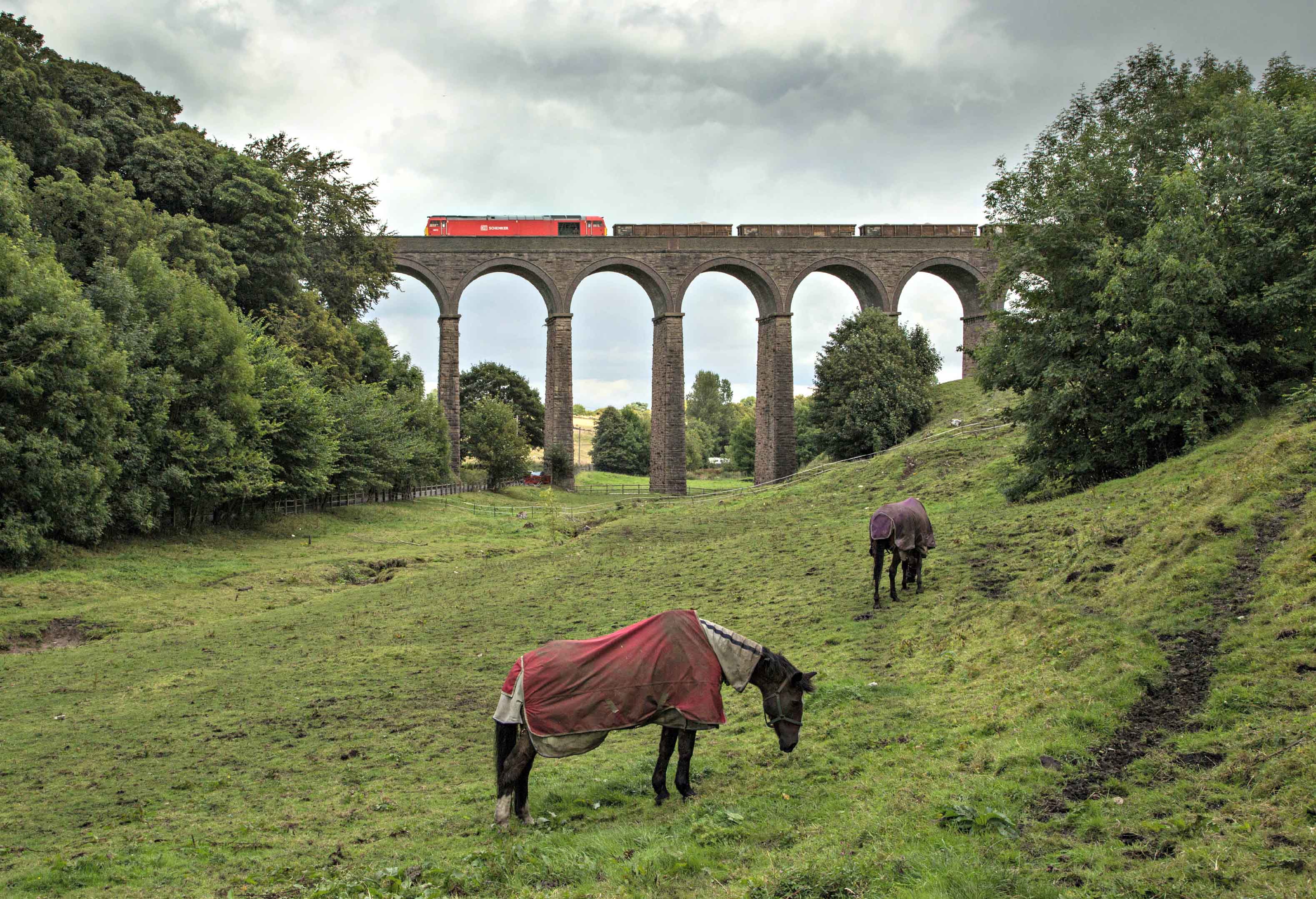 David-Hayes-60015-Buxton-18Aug14