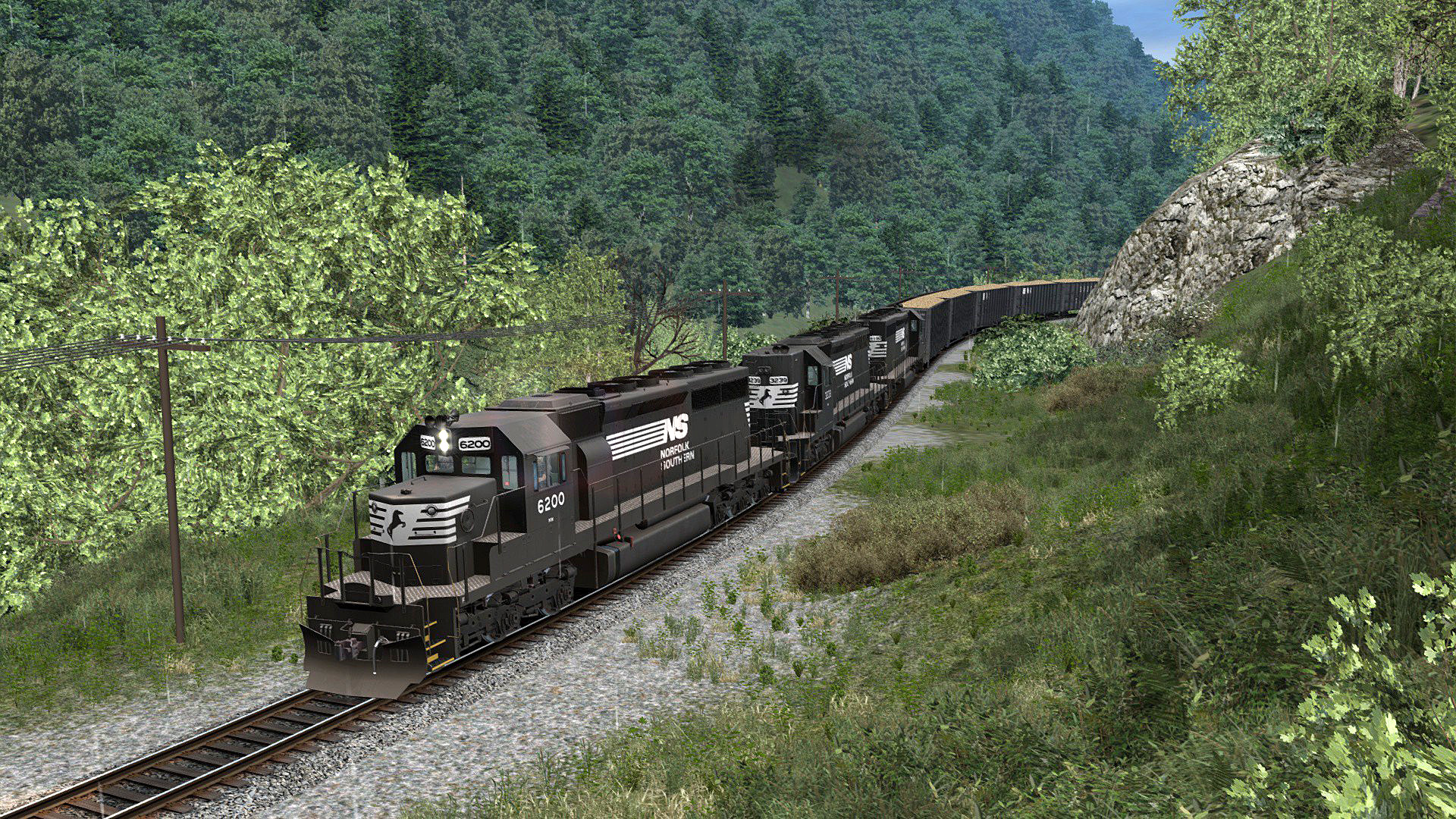 SGR_11