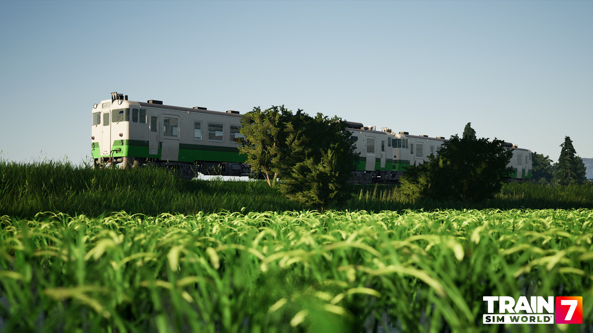 Tadami_WM_2